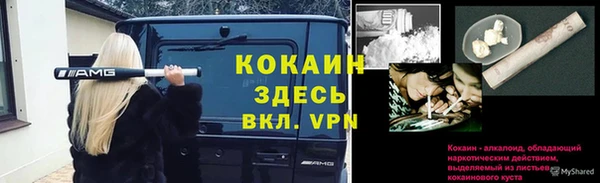 стаф Алексеевка
