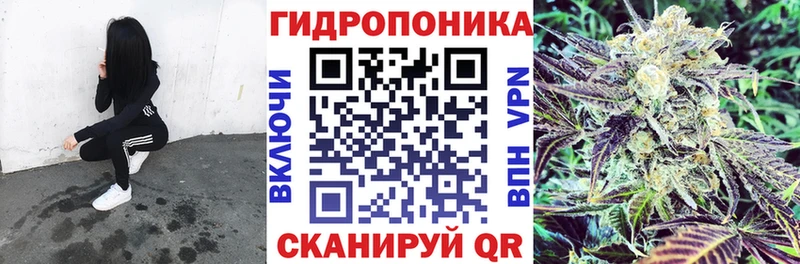 Каннабис конопля  Йошкар-Ола 